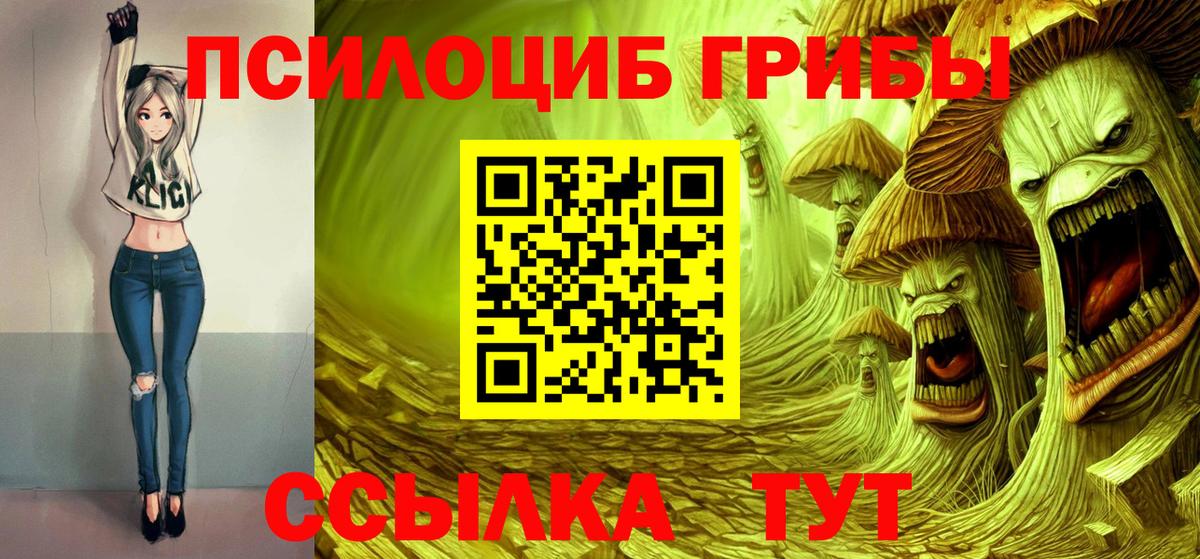 Псилоцибиновые грибы GOLDEN TEACHER Альметьевск
